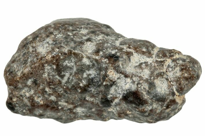 Lunar Meteorite ( g) - NWA #303242